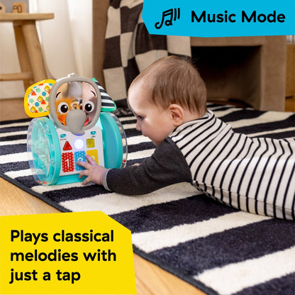 Baby Einstein Chase & Tap Earl™ Interactive Crawling Toy - Premium for Kids in Qatar | Toysaro.com
