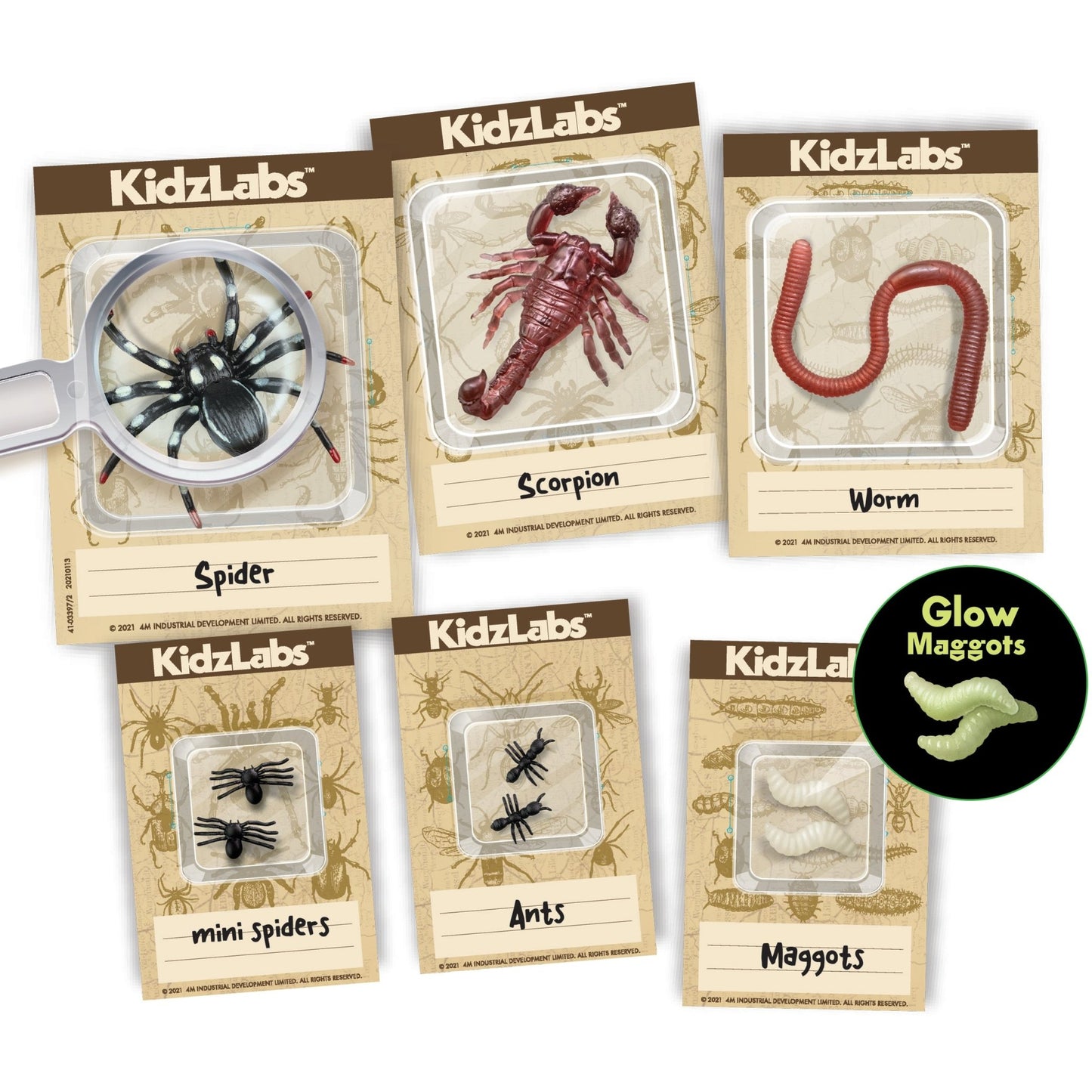 Creepy Crawly Digging Kit - Premium for Kids in Qatar | Toysaro.com
