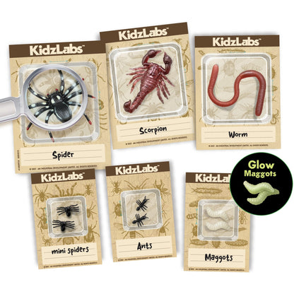 Creepy Crawly Digging Kit - Premium for Kids in Qatar | Toysaro.com