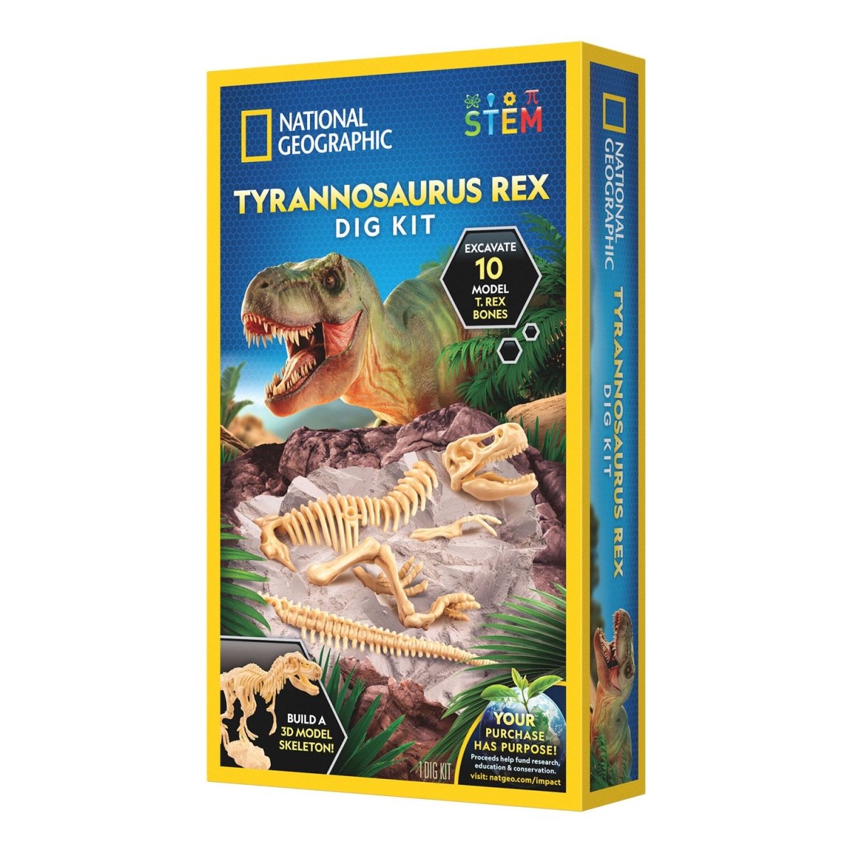 NG TYRANNOSAURUS REX DIG KIT - Premium for Kids in Qatar | Toysaro.com