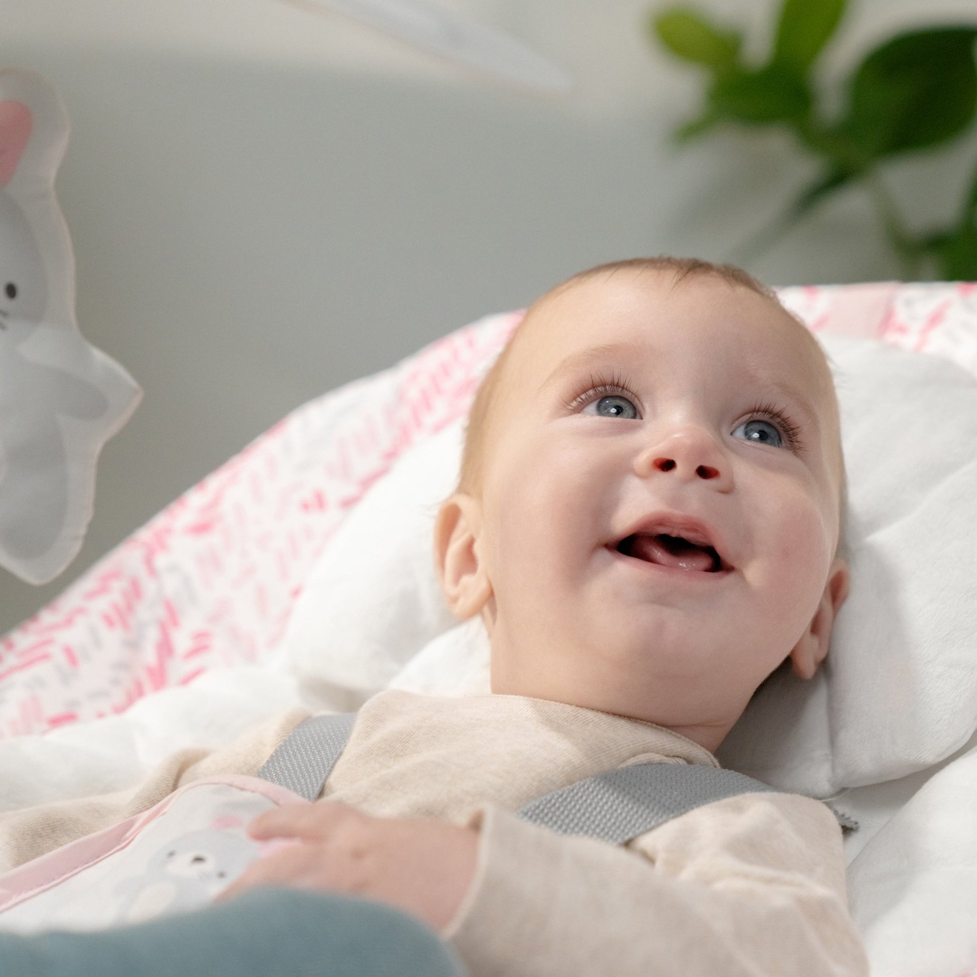 Ingenuity™ Keep Cozy™ 3 - in - 1 Grow with Me™ Bounce & Rock Seat - Lily™ - Premium for Kids in Qatar | Toysaro.com