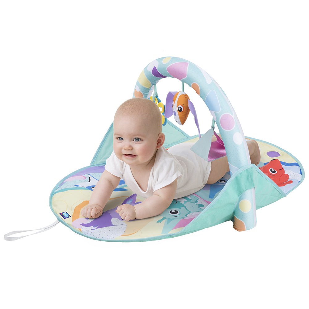 playgro Puppy and Me Activity Travel Gym - Premium for Kids in Qatar | Toysaro.com