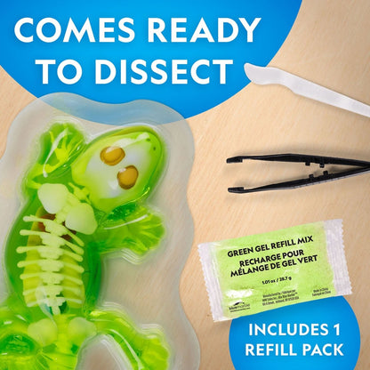 NG GLOW - IN - THE - DARK GECKO DISSECTION LAB - Premium for Kids in Qatar | Toysaro.com