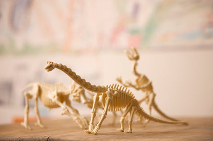 4M Kidz Labs / Tyrannosaurus rex Skeleton Excavation - Premium for Kids in Qatar | Toysaro.com
