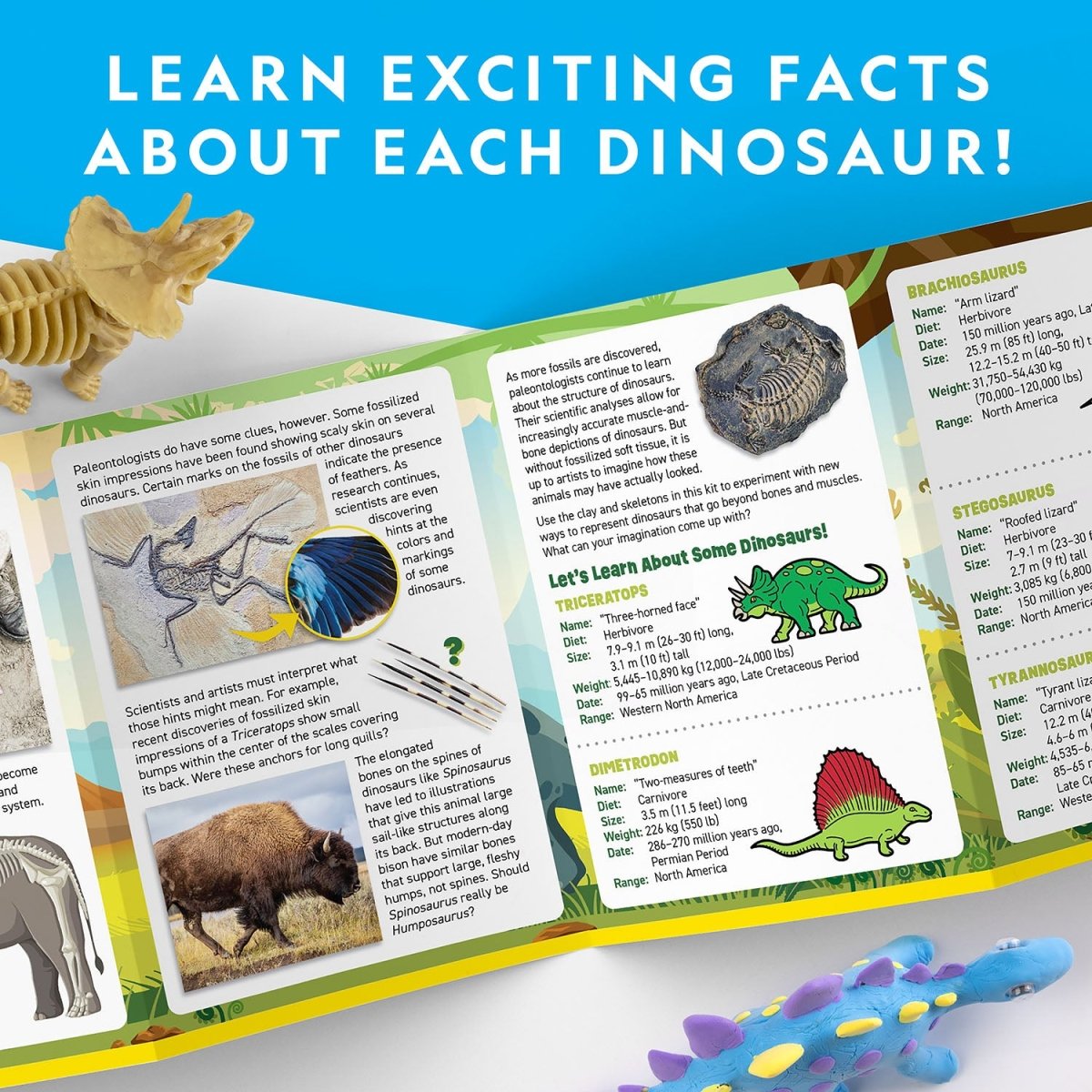 NG DINO SKELETONS WITH MODELING CLAY - Premium for Kids in Qatar | Toysaro.com