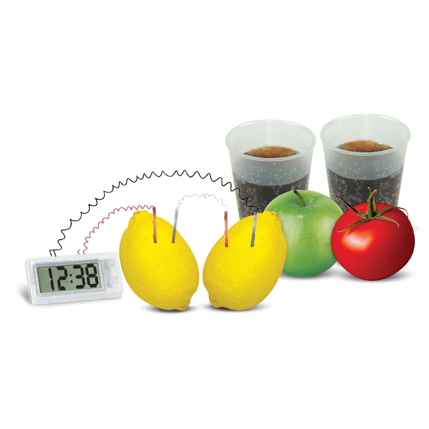 4M Kidz Labs / Green Science - Potato Clock - Premium for Kids in Qatar | Toysaro.com