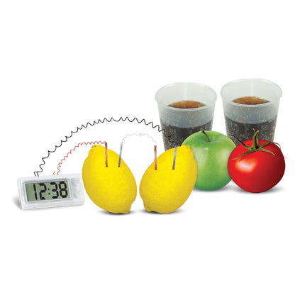 4M Kidz Labs / Green Science - Potato Clock - Premium for Kids in Qatar | Toysaro.com