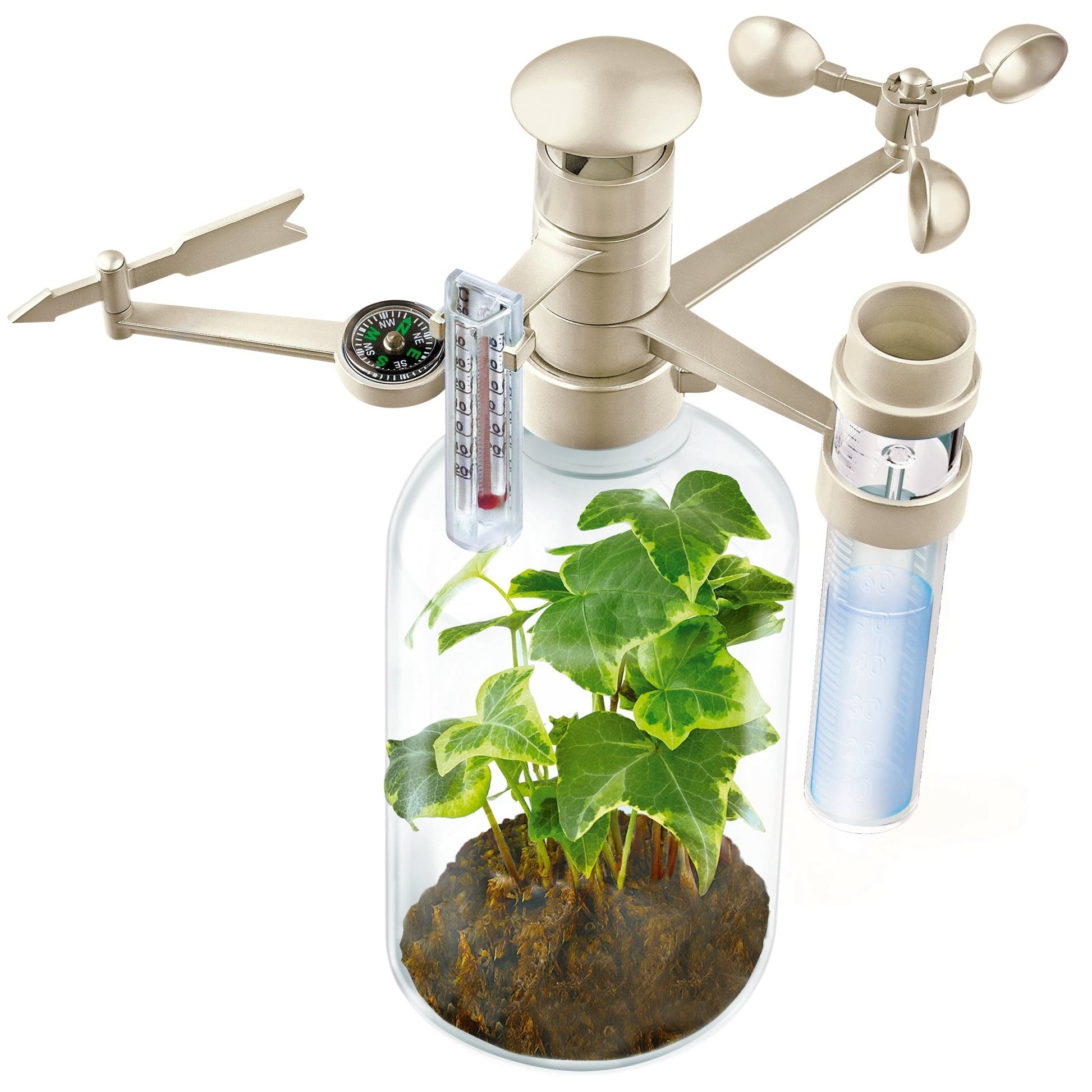 4M Kidz Labs / Green Science - Weather Station - Premium for Kids in Qatar | Toysaro.com