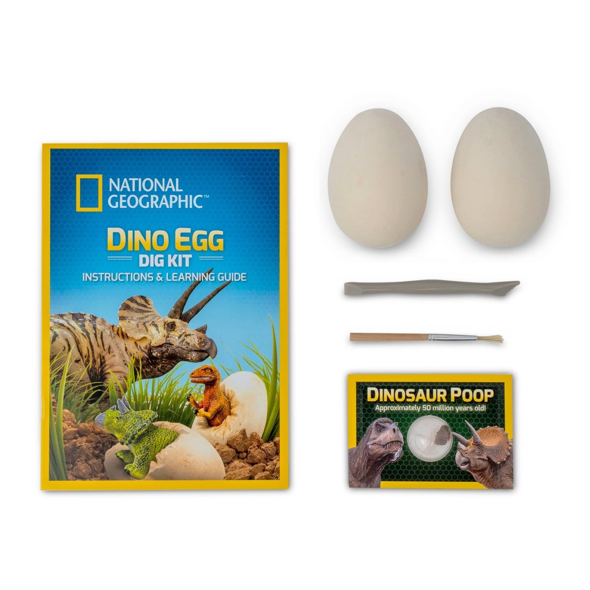 NG DINO EGG DIG KIT - Premium for Kids in Qatar | Toysaro.com