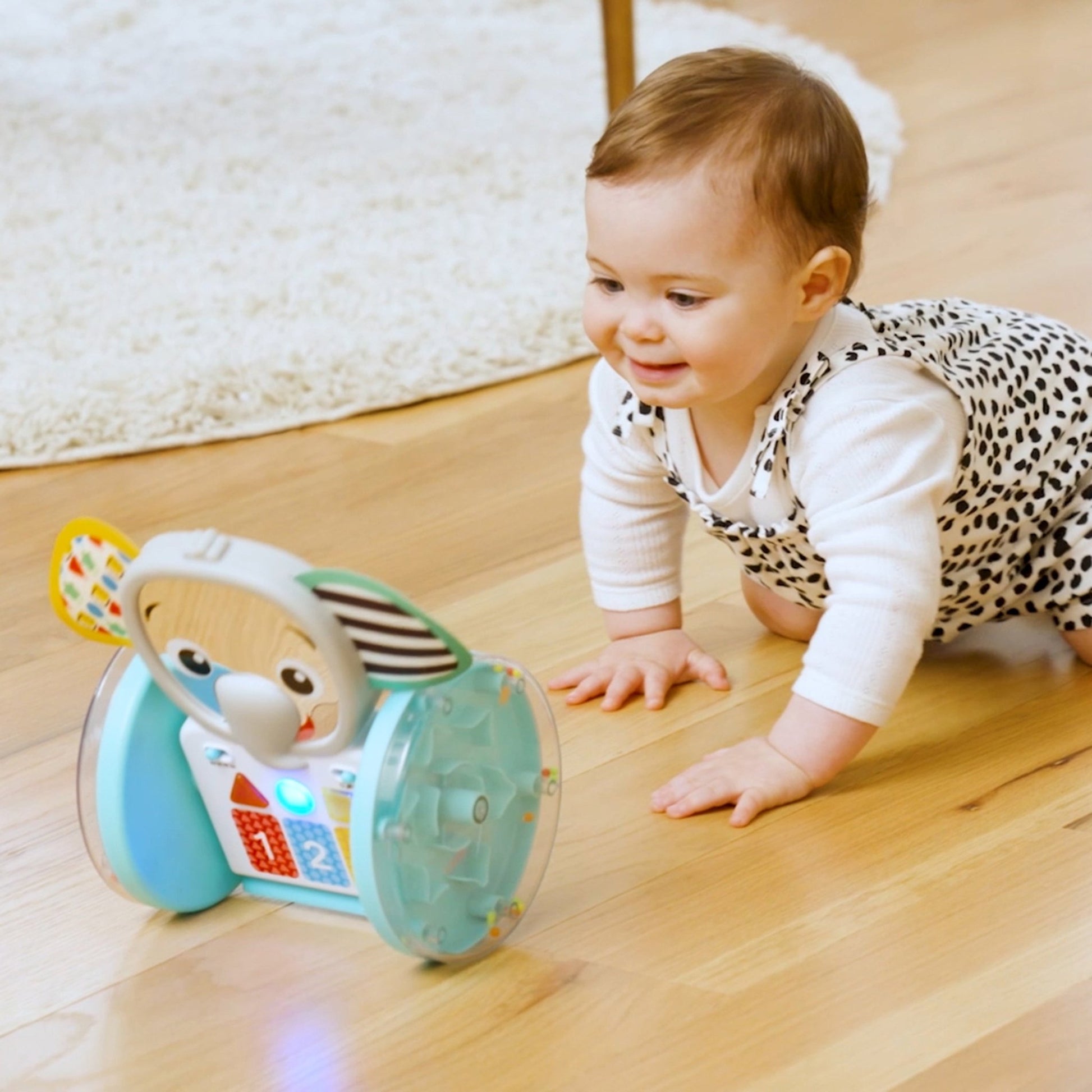 Baby Einstein Chase & Tap Earl™ Interactive Crawling Toy - Premium for Kids in Qatar | Toysaro.com