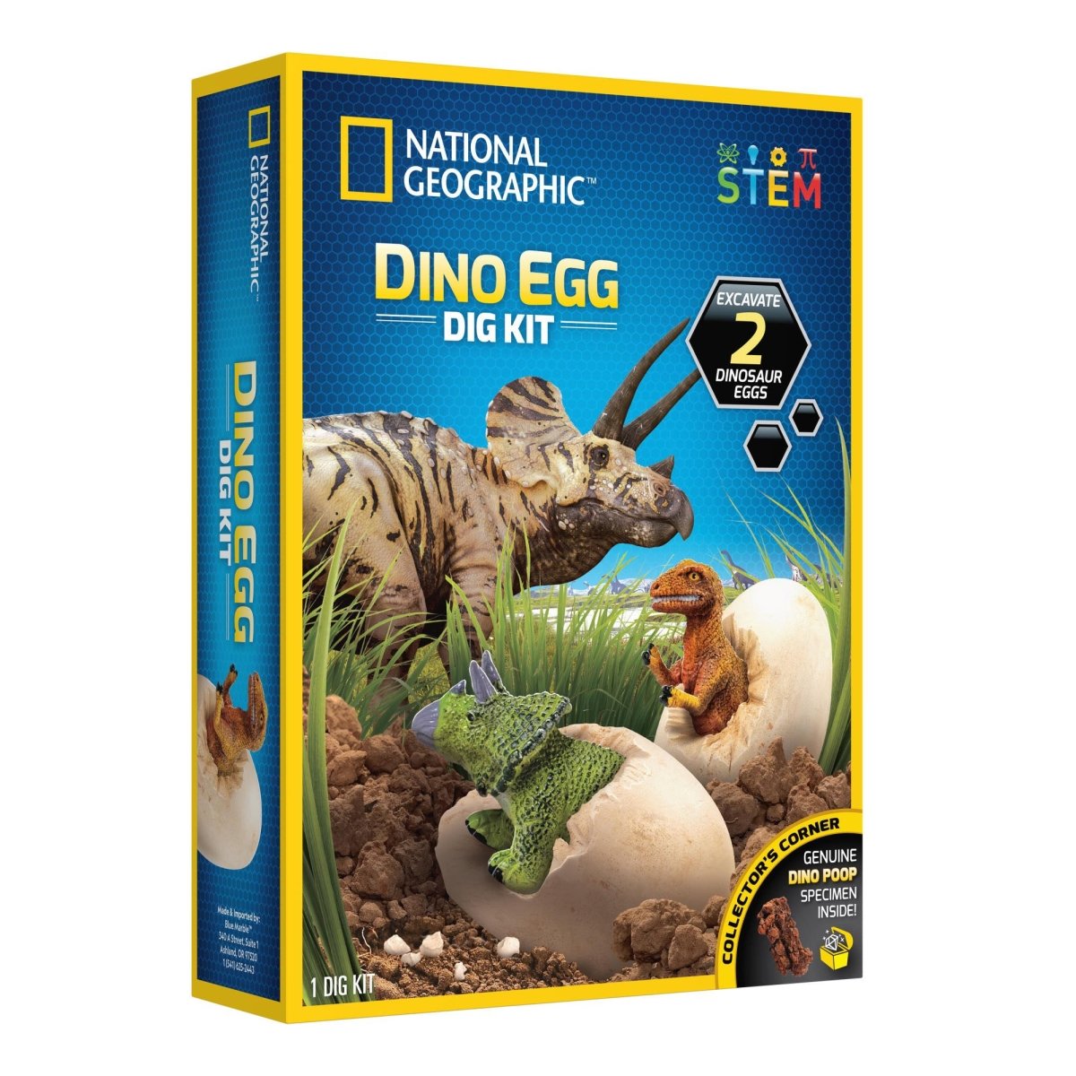 NG DINO EGG DIG KIT - Premium for Kids in Qatar | Toysaro.com