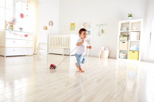 Hape Ladybug Push & Pull Along Toy - Premium for Kids in Qatar | Toysaro.com