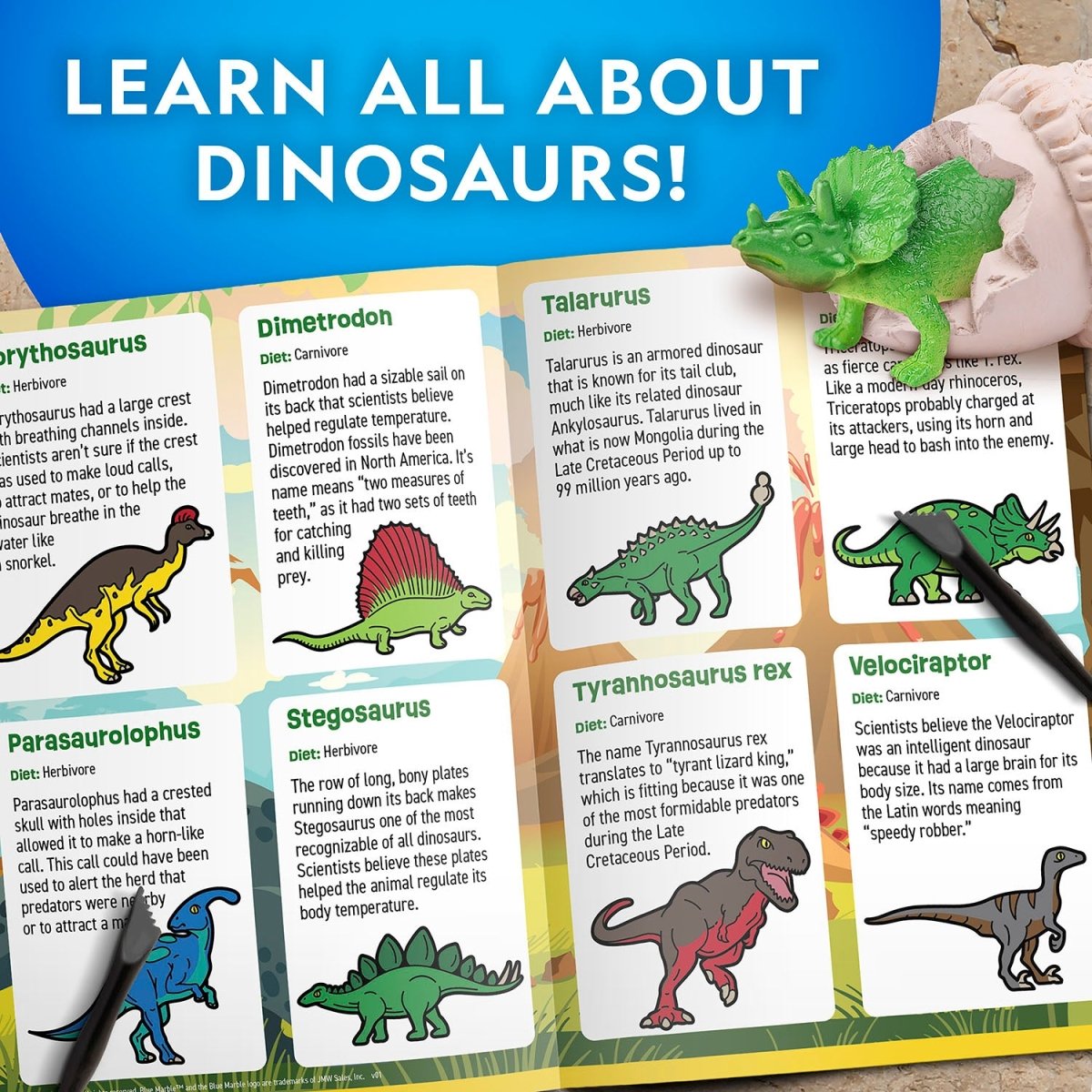 NG DINOSAUR EGG DIG KIT - 12 PCS - Premium for Kids in Qatar | Toysaro.com