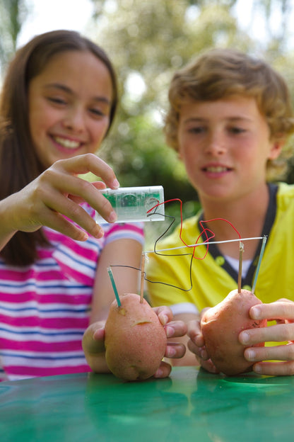 4M Kidz Labs / Green Science - Potato Clock - Premium for Kids in Qatar | Toysaro.com
