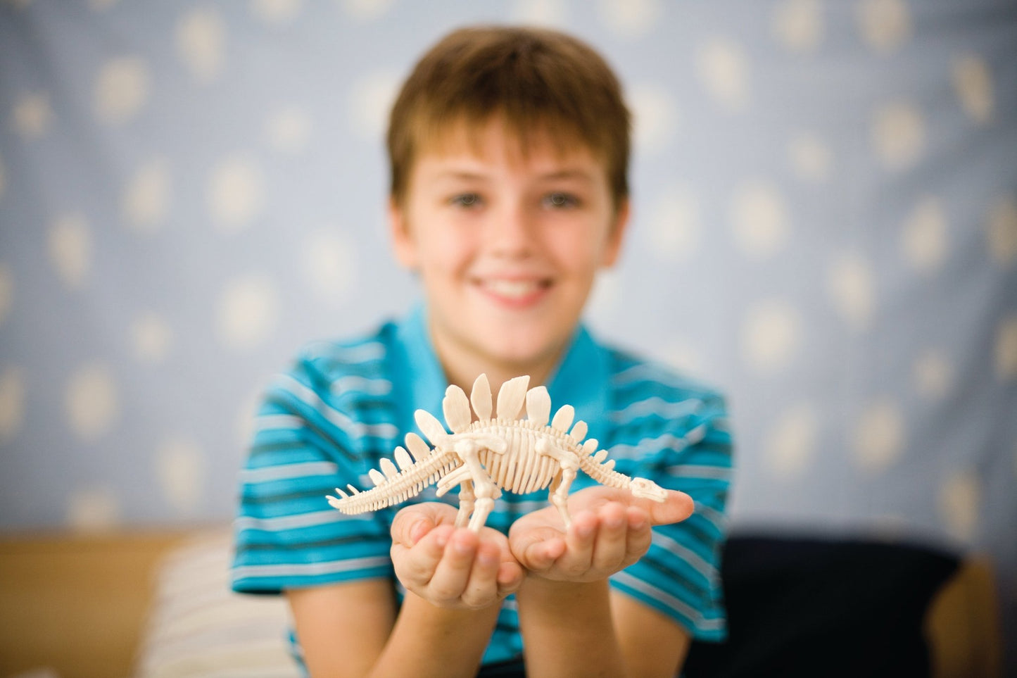 4M Kidz Labs / Velociraptor Skeleton Excavation - Premium for Kids in Qatar | Toysaro.com