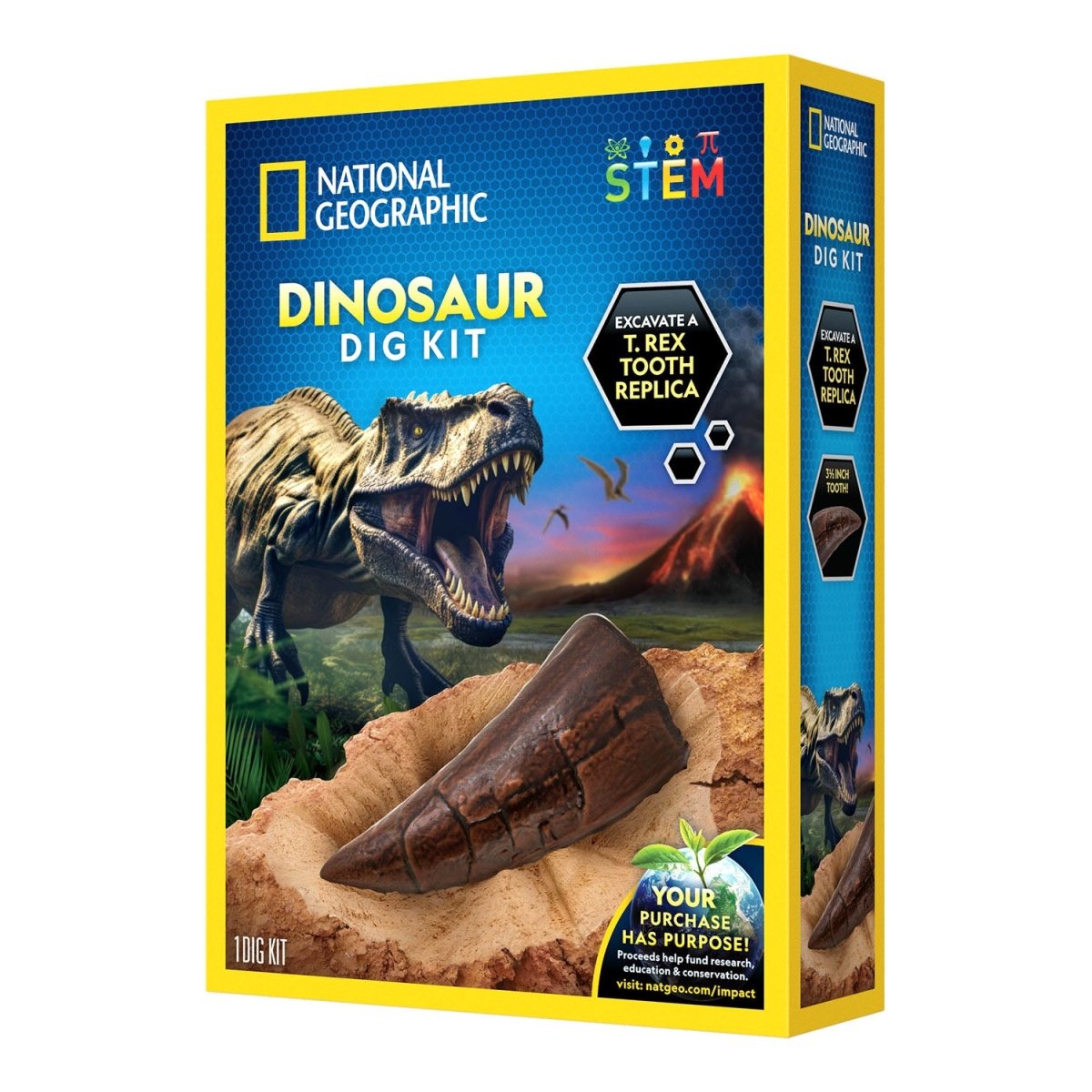 NG DINO FOSSIL DIG KIT - Premium for Kids in Qatar | Toysaro.com