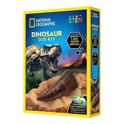 NG DINO FOSSIL DIG KIT - Premium for Kids in Qatar | Toysaro.com