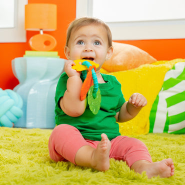 Bright Starts Tropical Chews Teething Ring - Premium for Kids in Qatar | Toysaro.com
