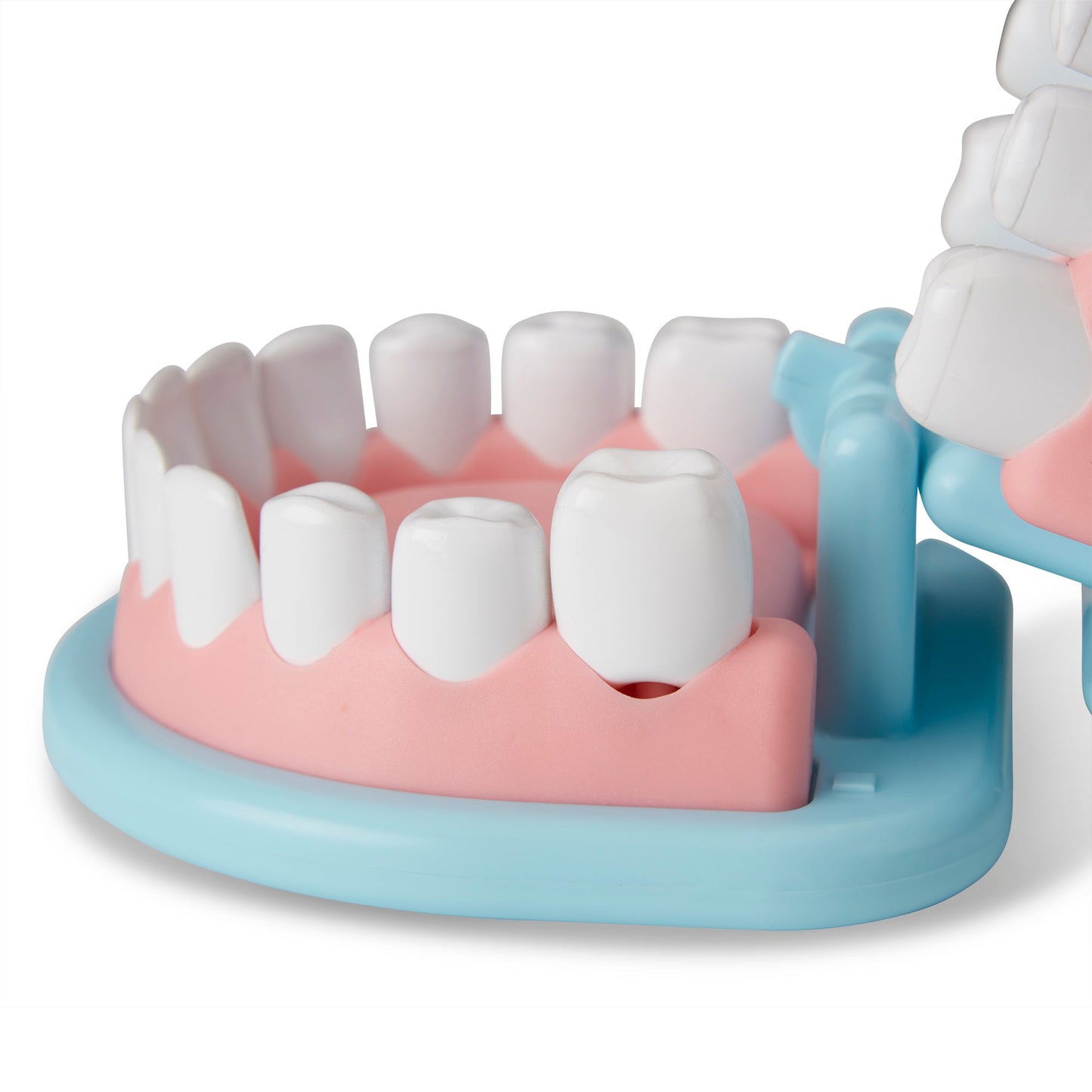 Melissa and Doug Super Smile Dentist Play Set - Premium for Kids in Qatar | Toysaro.com