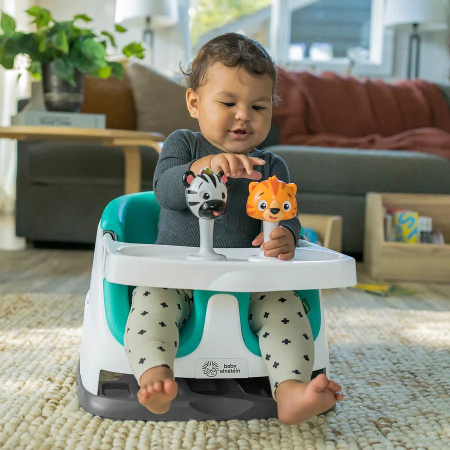 BABY EINSTEIN Fun Seat - Premium for Kids in Qatar | Toysaro.com