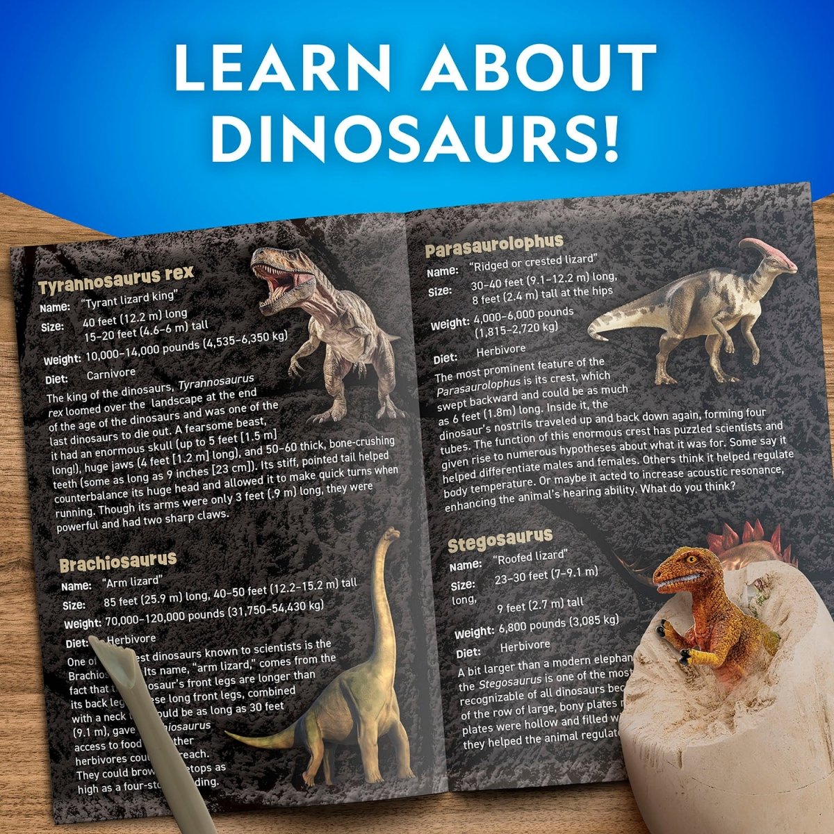 NG DINO EGG DIG KIT - Premium for Kids in Qatar | Toysaro.com