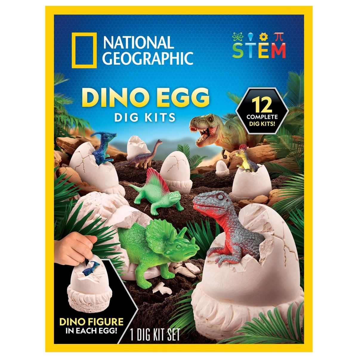 NG DINOSAUR EGG DIG KIT - 12 PCS - Premium for Kids in Qatar | Toysaro.com