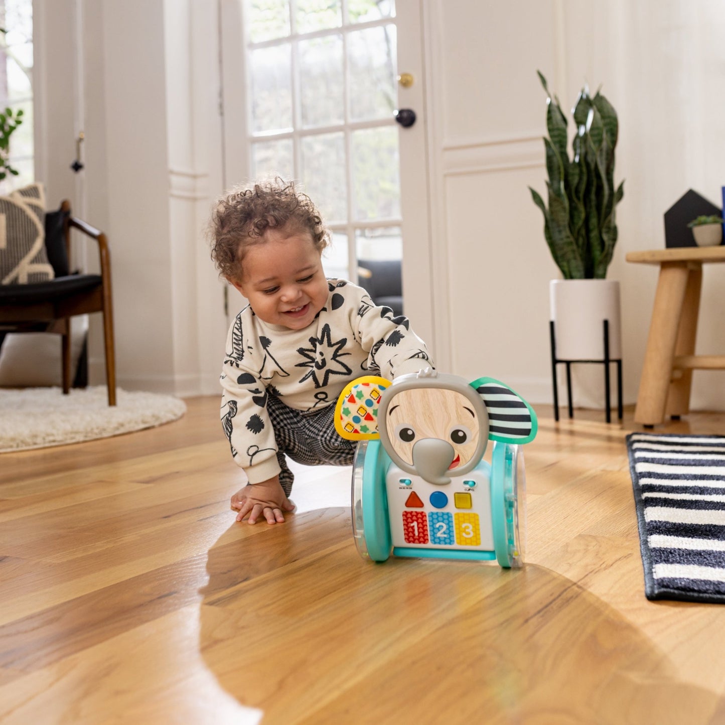 Baby Einstein Chase & Tap Earl™ Interactive Crawling Toy - Premium for Kids in Qatar | Toysaro.com