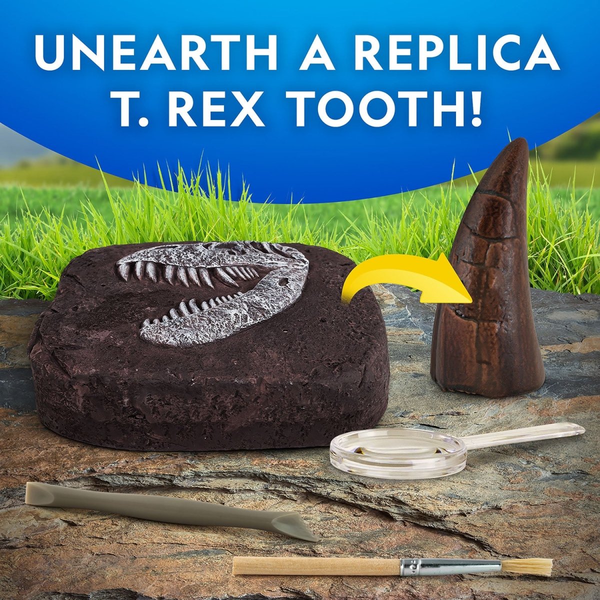 NG DINO FOSSIL DIG KIT - Premium for Kids in Qatar | Toysaro.com