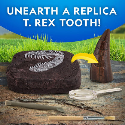 NG DINO FOSSIL DIG KIT - Premium for Kids in Qatar | Toysaro.com