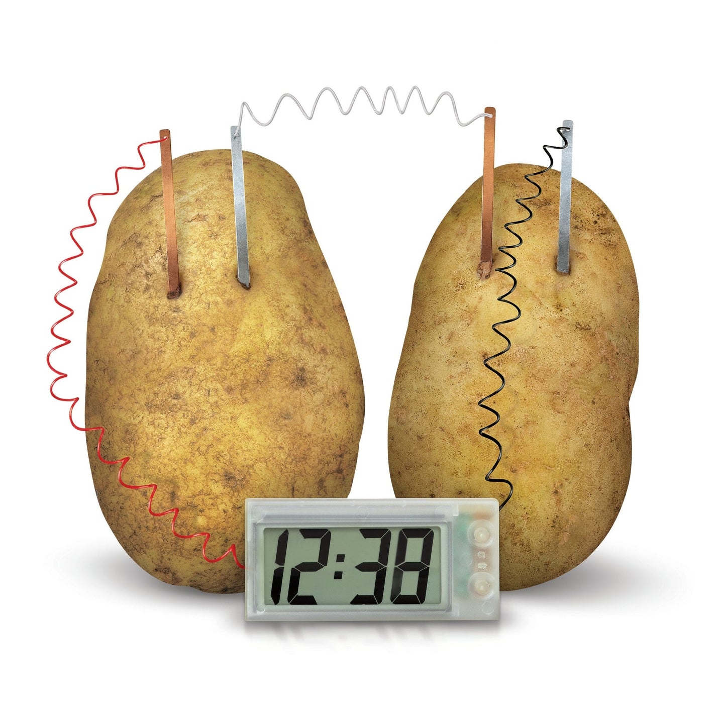 4M Kidz Labs / Green Science - Potato Clock - Premium for Kids in Qatar | Toysaro.com