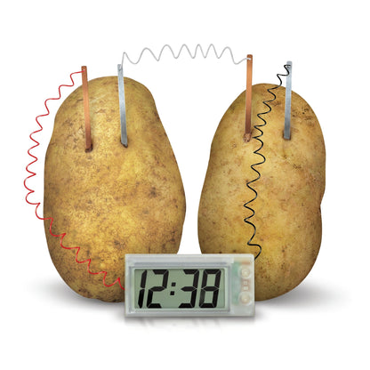 4M Kidz Labs / Green Science - Potato Clock - Premium for Kids in Qatar | Toysaro.com