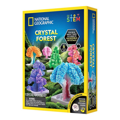 NG CRYSTAL FOREST - Premium for Kids in Qatar | Toysaro.com