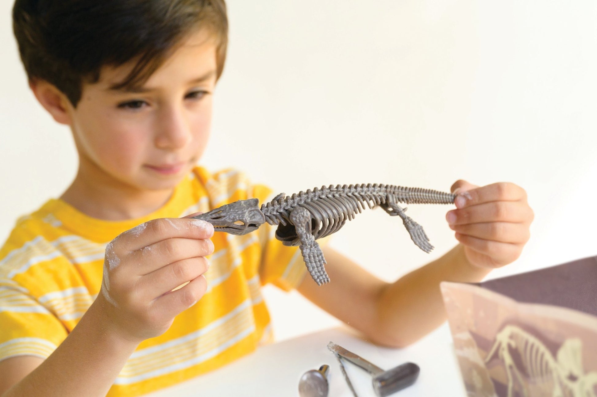 4M Dig A Mosasaurus Skeleton - Premium for Kids in Qatar | Toysaro.com