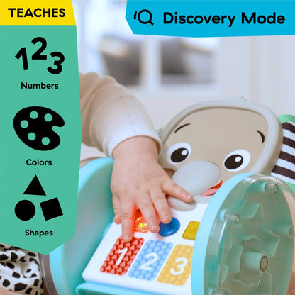 Baby Einstein Chase & Tap Earl™ Interactive Crawling Toy - Premium for Kids in Qatar | Toysaro.com