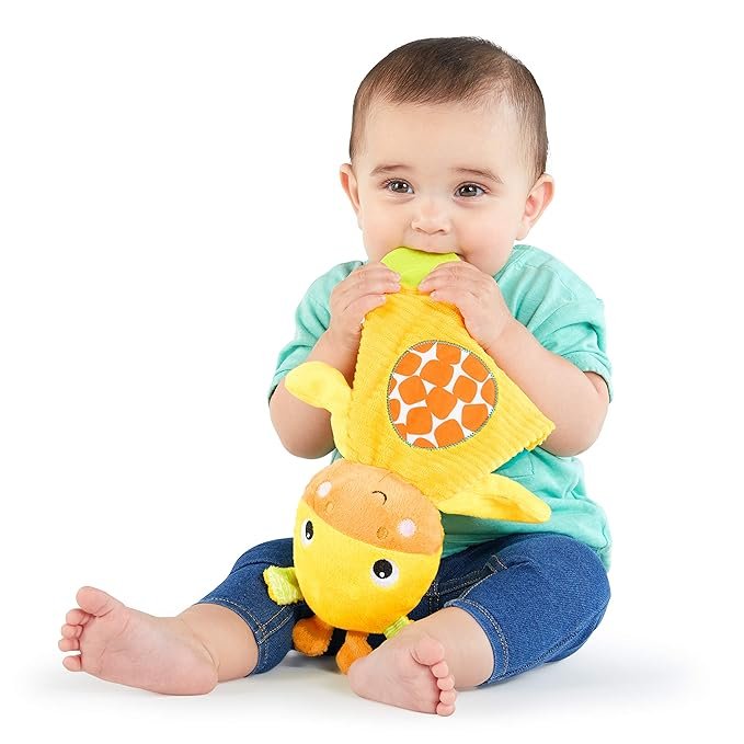 Bright Starts Snuggle & Teethe Plush Teether Toy - Assortment - Premium for Kids in Qatar | Toysaro.com
