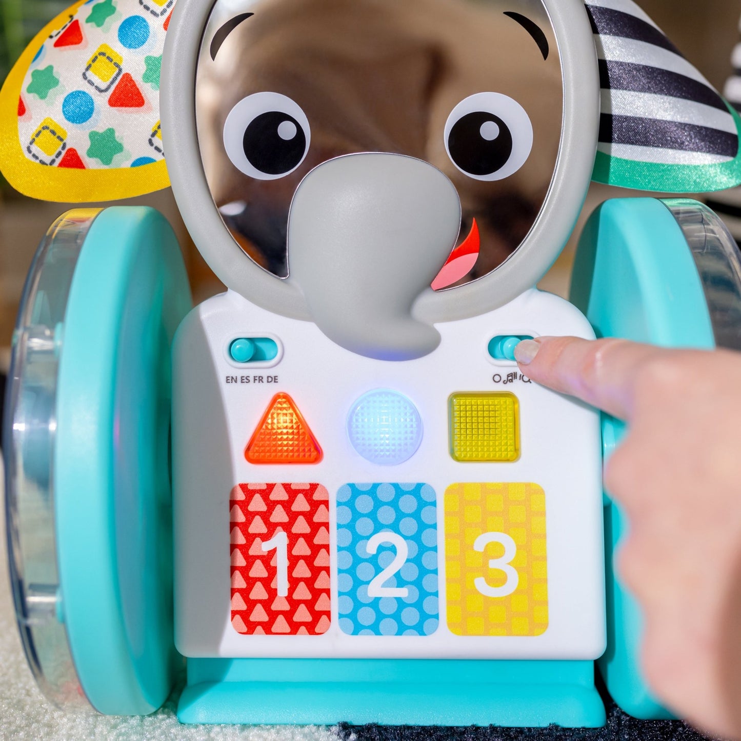 Baby Einstein Chase & Tap Earl™ Interactive Crawling Toy - Premium for Kids in Qatar | Toysaro.com