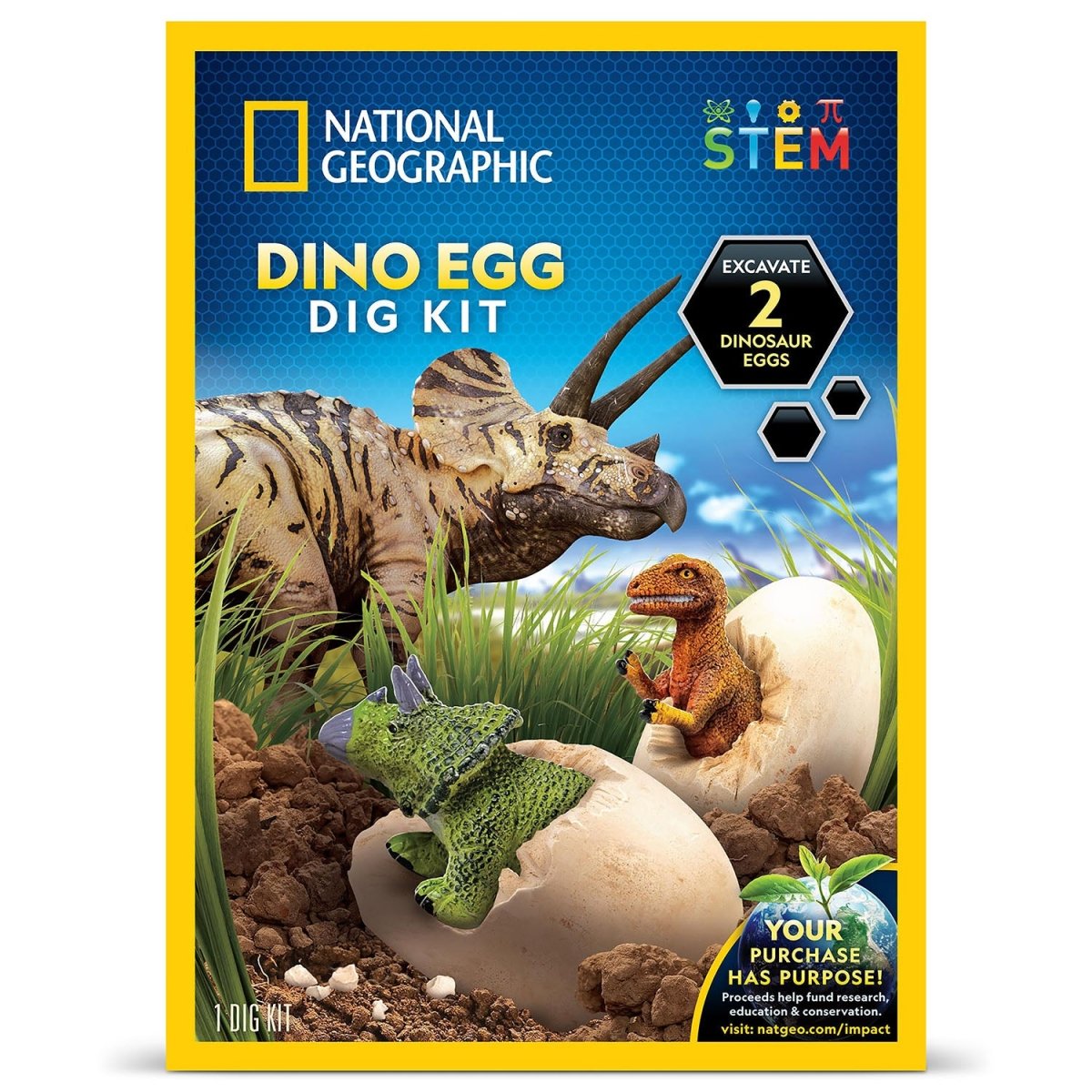 NG DINO EGG DIG KIT - Premium for Kids in Qatar | Toysaro.com