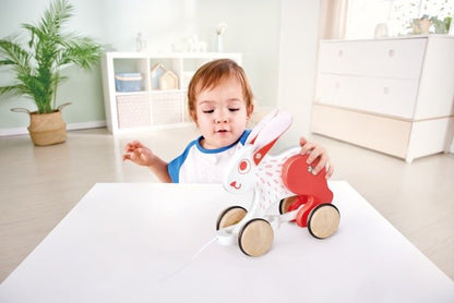 Hape Bunny Pull Along - Wooden Toddler Toy with Moving Head and Feet | Smooth Wheels for Easy Pulling | Learning Toy for Walking Skills | Ages 12 Months+ - Premium for Kids in Qatar | Toysaro.com