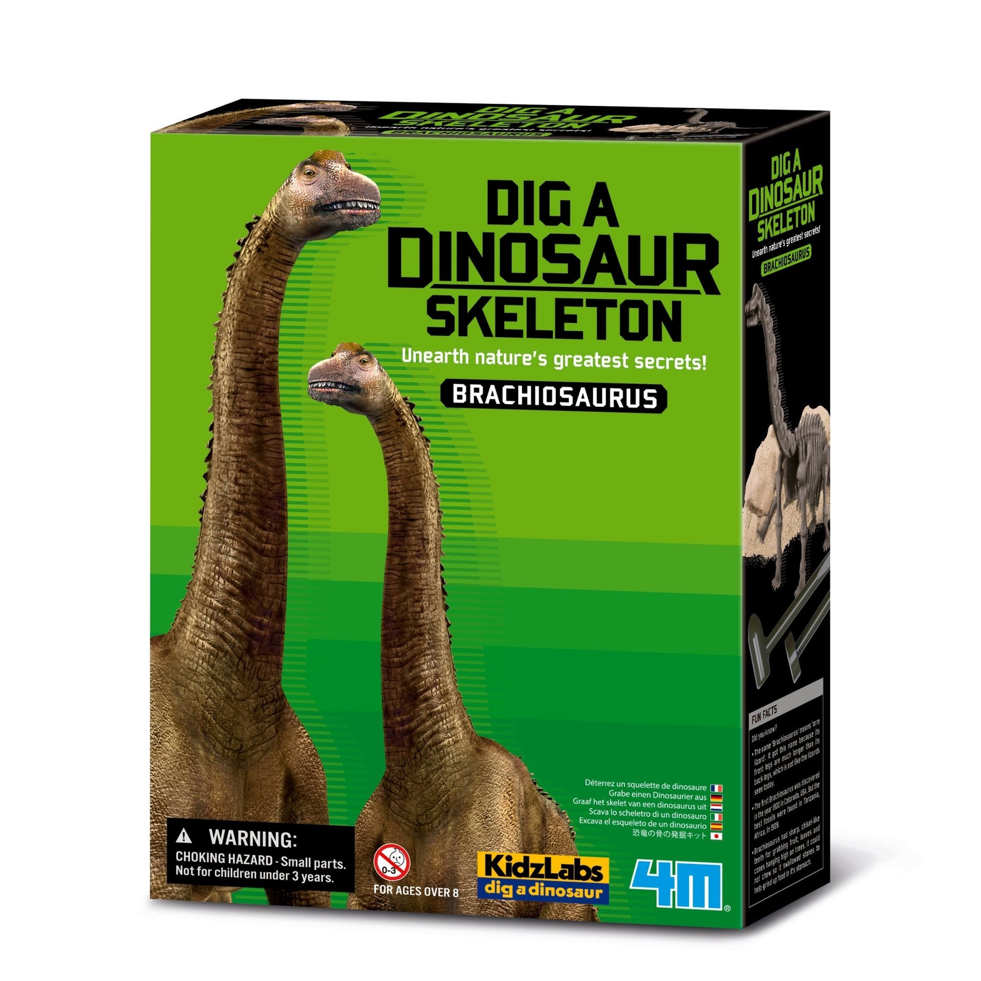 4M Kidz Labs / Brachiosaurus Skeleton Excavation - Premium for Kids in Qatar | Toysaro.com