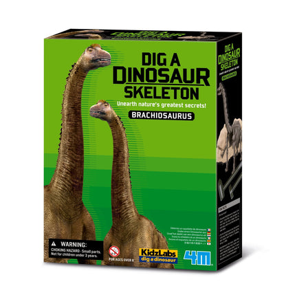 4M Kidz Labs / Brachiosaurus Skeleton Excavation - Premium for Kids in Qatar | Toysaro.com