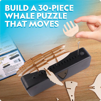 NG MOTORIZED WHALE MODEL - Premium for Kids in Qatar | Toysaro.com
