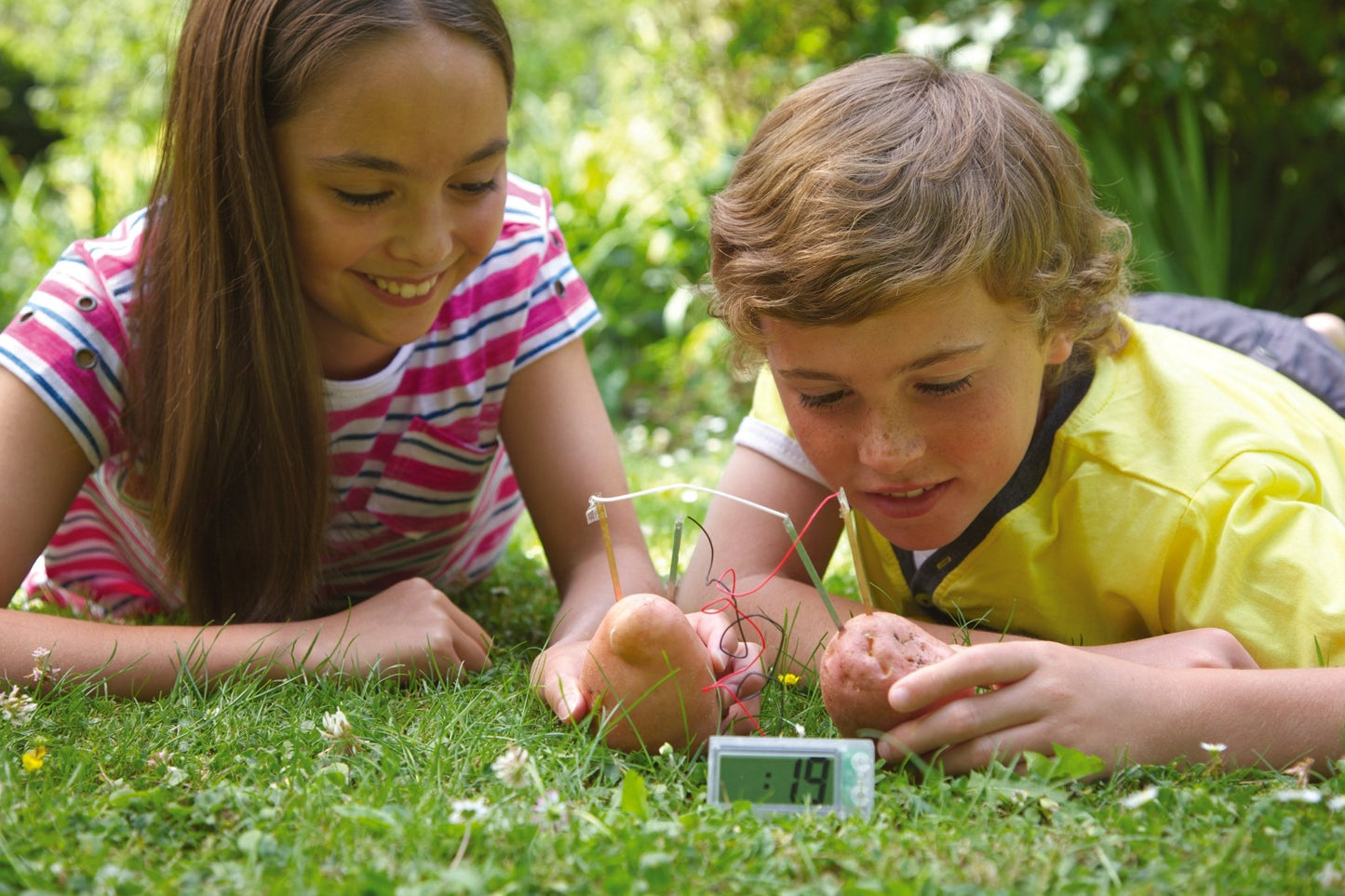 4M Kidz Labs / Green Science - Potato Clock - Premium for Kids in Qatar | Toysaro.com