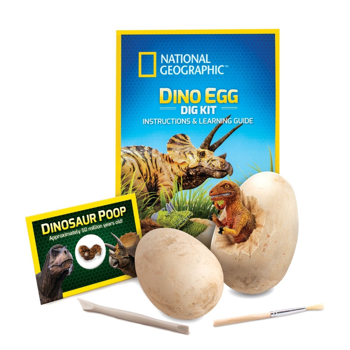 NG DINO EGG DIG KIT - Premium for Kids in Qatar | Toysaro.com
