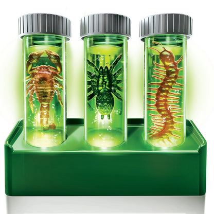 4M Glow Critter Lab - Premium for Kids in Qatar | Toysaro.com