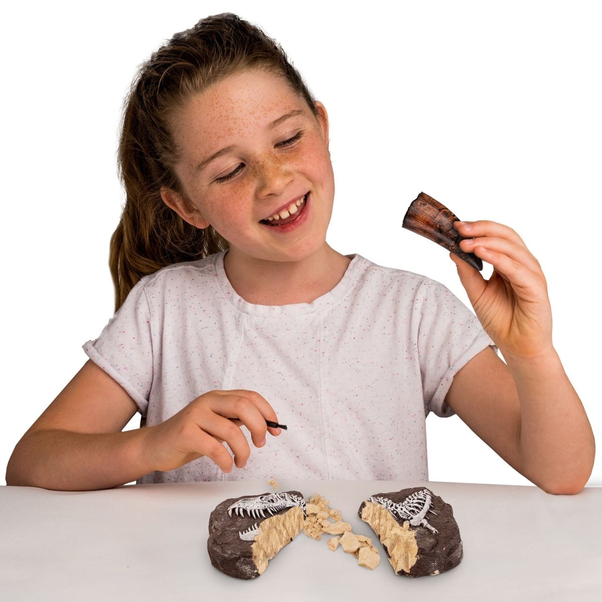 NG DINO FOSSIL DIG KIT - Premium for Kids in Qatar | Toysaro.com