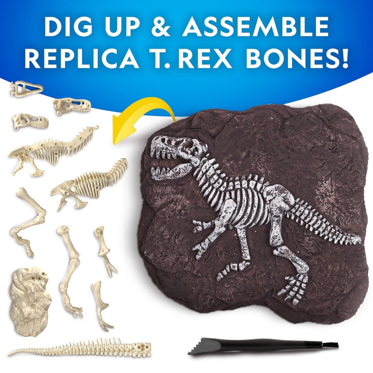 NG TYRANNOSAURUS REX DIG KIT - Premium for Kids in Qatar | Toysaro.com
