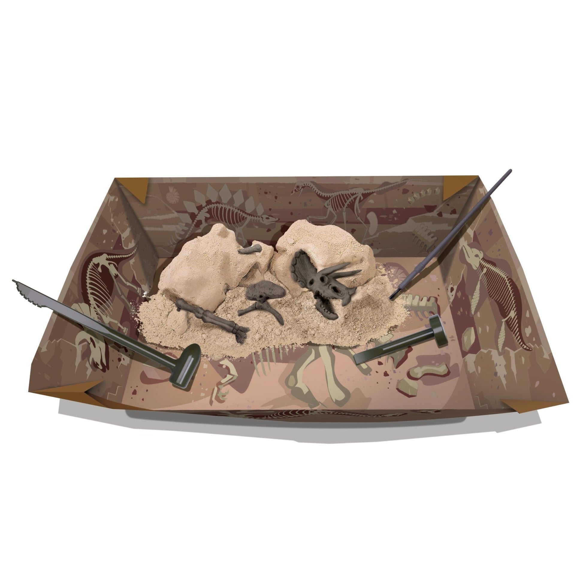 4M Kidz Labs / Triceratops Skeleton Excavation - Premium for Kids in Qatar | Toysaro.com