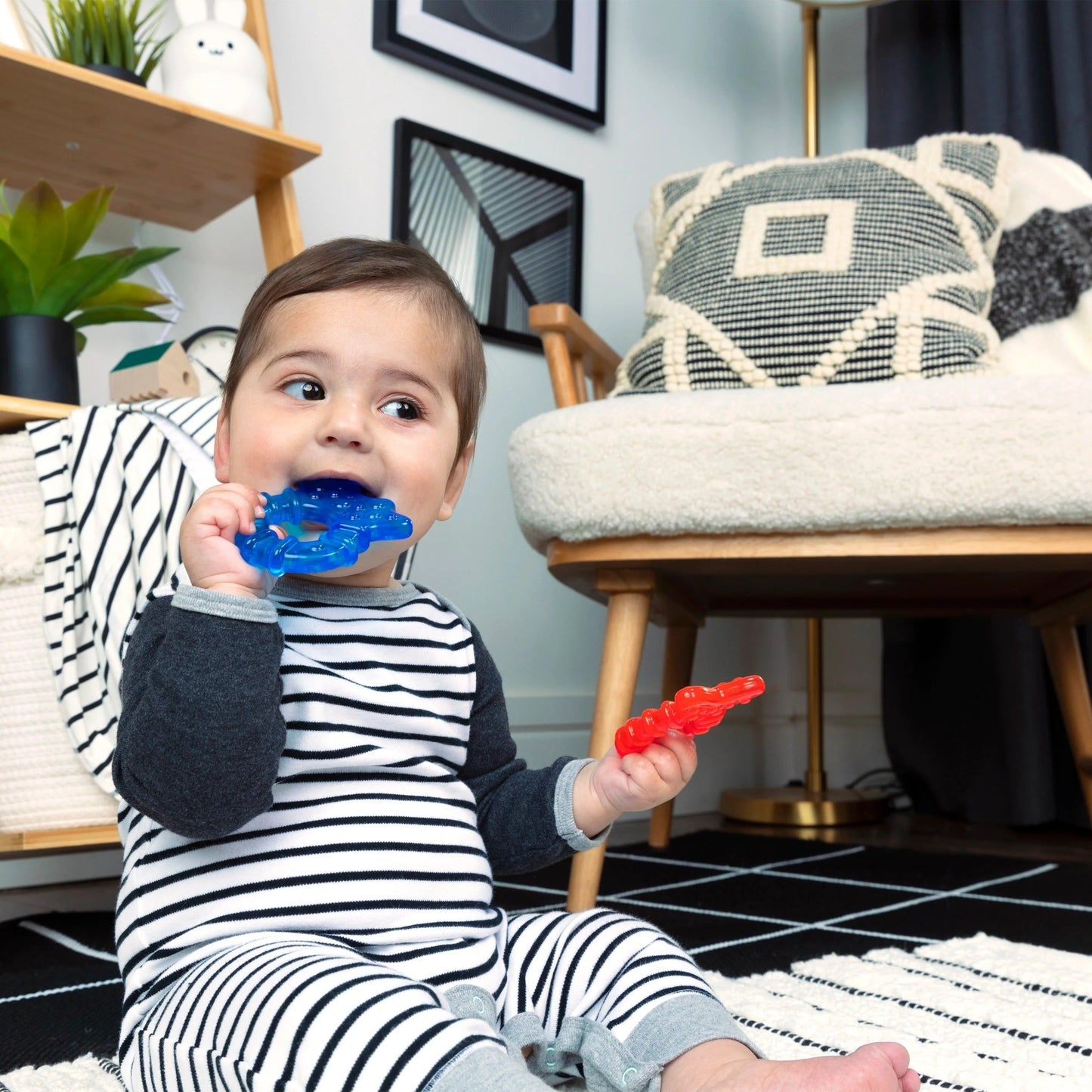 Baby Einstein™Ocean explorers cool critters™ teether toy set - Premium for Kids in Qatar | Toysaro.com
