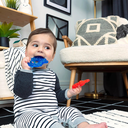 Baby Einstein™Ocean explorers cool critters™ teether toy set - Premium for Kids in Qatar | Toysaro.com
