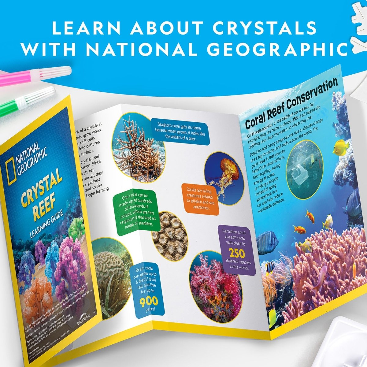 NG CRYSTAL REEF CORAL GROWING LAB - Premium for Kids in Qatar | Toysaro.com